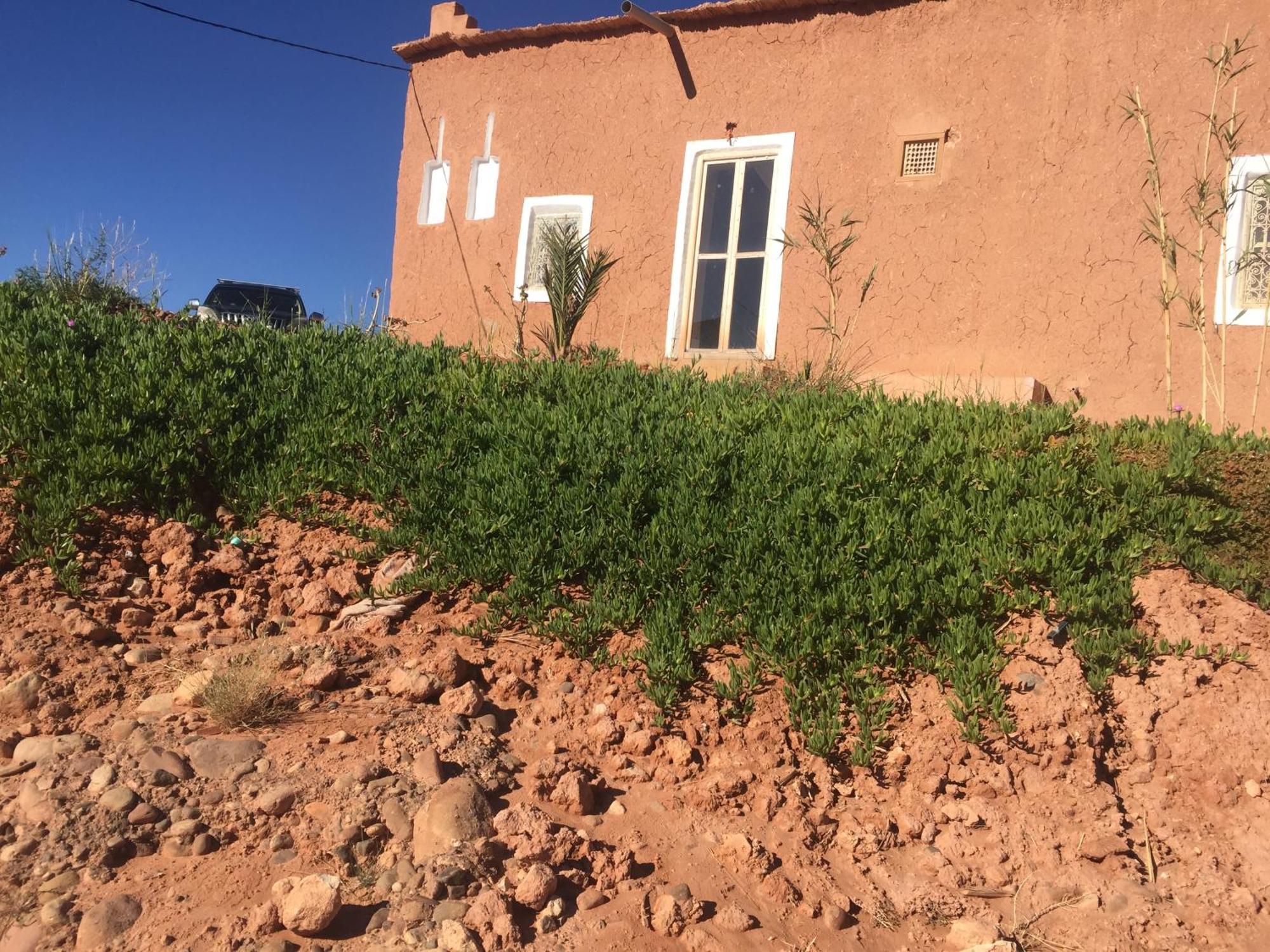 Hotel Tigmi Hamid à Ait Benhaddou Extérieur photo